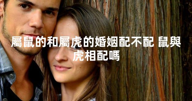 屬鼠的和屬虎的婚姻配不配 鼠與虎相配嗎